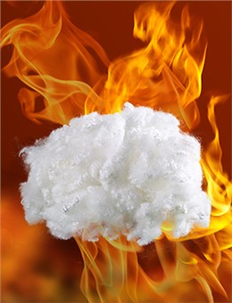 与康宝源科技合作，我们放心！