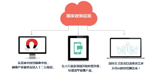 政策层面